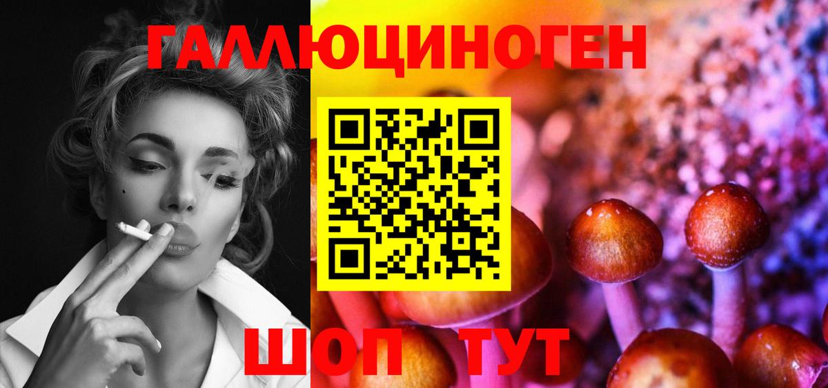 купить закладку  Вход с VPN  Полевской  Галлюциногенные грибы Cubensis 