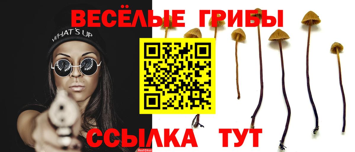 Галлюциногенные грибы ЛСД Полевской